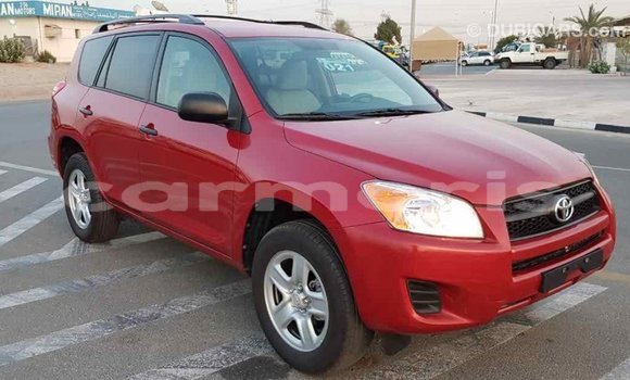 Buy Import Toyota RAV4 Red Car in Import - Dubai in Agalega Islands Buy Import Toyota RAV4 Red Car in Import - Dubai in Agalega Islands