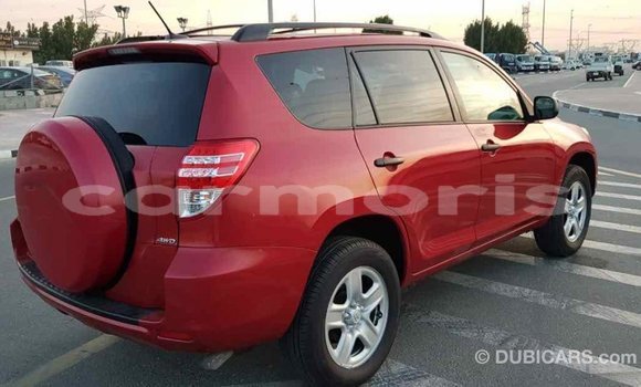 Buy Import Toyota RAV4 Red Car in Import - Dubai in Agalega Islands Buy Import Toyota RAV4 Red Car in Import - Dubai in Agalega Islands