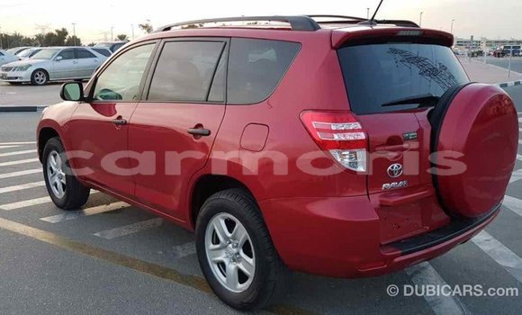 Buy Import Toyota RAV4 Red Car in Import - Dubai in Agalega Islands Buy Import Toyota RAV4 Red Car in Import - Dubai in Agalega Islands