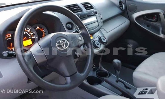 Buy Import Toyota RAV4 Red Car in Import - Dubai in Agalega Islands Buy Import Toyota RAV4 Red Car in Import - Dubai in Agalega Islands
