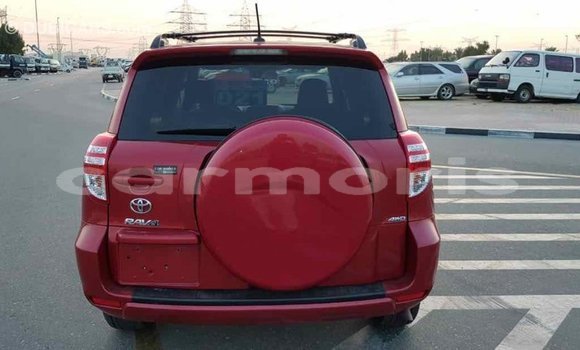 Buy Import Toyota RAV4 Red Car in Import - Dubai in Agalega Islands Buy Import Toyota RAV4 Red Car in Import - Dubai in Agalega Islands