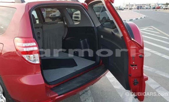 Buy Import Toyota RAV4 Red Car in Import - Dubai in Agalega Islands Buy Import Toyota RAV4 Red Car in Import - Dubai in Agalega Islands