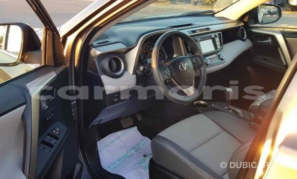 Buy Import Toyota RAV4 Other Car in Import - Dubai in Agalega Islands Buy Import Toyota RAV4 Other Car in Import - Dubai in Agalega Islands