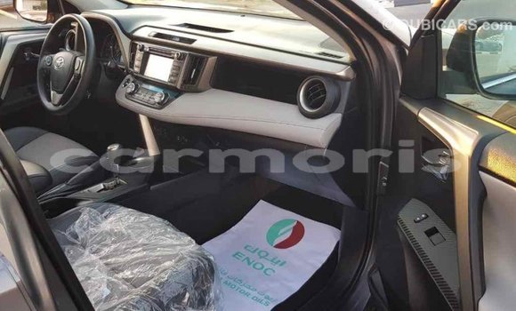 Buy Import Toyota RAV4 Other Car in Import - Dubai in Agalega Islands Buy Import Toyota RAV4 Other Car in Import - Dubai in Agalega Islands