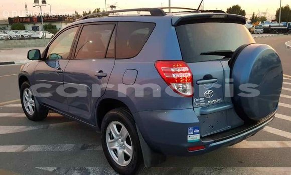 Buy Import Toyota RAV4 Blue Car in Import - Dubai in Agalega Islands Buy Import Toyota RAV4 Blue Car in Import - Dubai in Agalega Islands