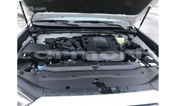 Buy Import Toyota HiAce White Truck in Import - Dubai in Agalega Islands Buy Import Toyota HiAce White Truck in Import - Dubai in Agalega Islands