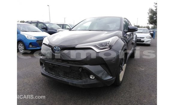 Buy Import Toyota C-HR Other Car in Import - Dubai in Agalega Islands Buy Import Toyota C-HR Other Car in Import - Dubai in Agalega Islands