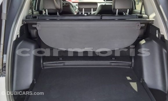 Buy Import Honda C Other Bike in Import - Dubai in Agalega Islands Buy Import Honda C Other Bike in Import - Dubai in Agalega Islands