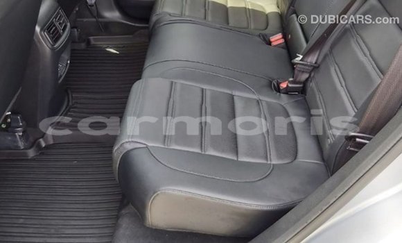 Buy Import Honda C Other Bike in Import - Dubai in Agalega Islands Buy Import Honda C Other Bike in Import - Dubai in Agalega Islands