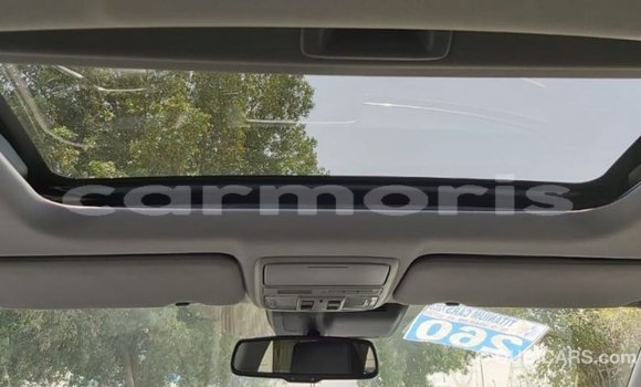 Buy Import Honda C Other Bike in Import - Dubai in Agalega Islands Buy Import Honda C Other Bike in Import - Dubai in Agalega Islands