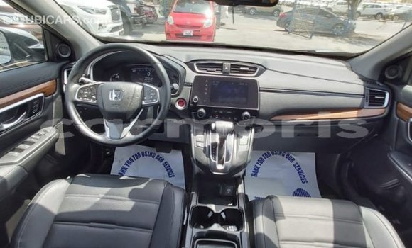 Buy Import Honda C Other Bike in Import - Dubai in Agalega Islands Buy Import Honda C Other Bike in Import - Dubai in Agalega Islands