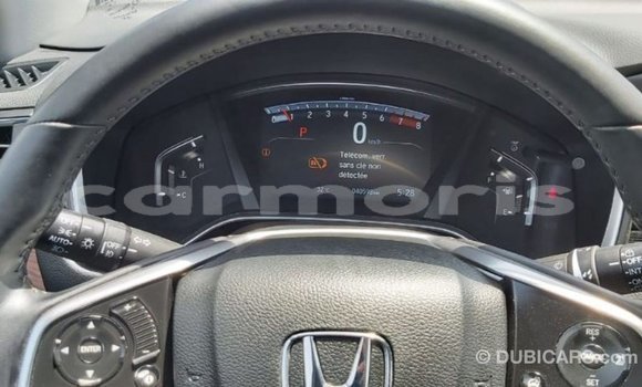Buy Import Honda C Other Bike in Import - Dubai in Agalega Islands Buy Import Honda C Other Bike in Import - Dubai in Agalega Islands