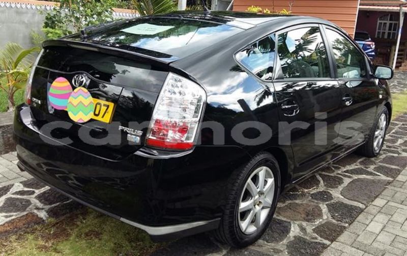 Big with watermark 36269306 10209349259528539 6917292087180263424 n