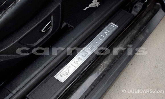 Buy Import Ford Mustang Black Car in Import - Dubai in Agalega Islands Buy Import Ford Mustang Black Car in Import - Dubai in Agalega Islands
