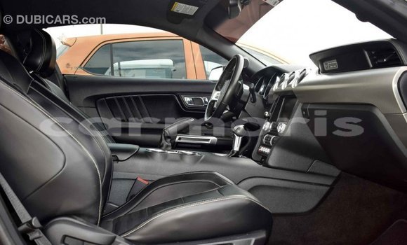 Buy Import Ford Mustang Black Car in Import - Dubai in Agalega Islands Buy Import Ford Mustang Black Car in Import - Dubai in Agalega Islands