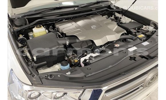 Buy Import Toyota Land Cruiser White Car in Import - Dubai in Agalega Islands Buy Import Toyota Land Cruiser White Car in Import - Dubai in Agalega Islands