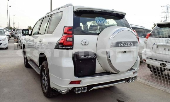Buy Import Toyota Prado White Car in Import - Dubai in Agalega Islands Buy Import Toyota Prado White Car in Import - Dubai in Agalega Islands