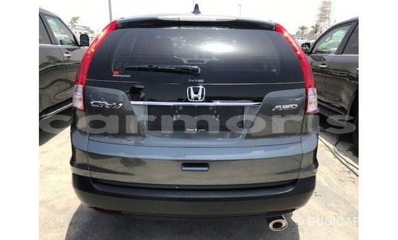 Acheter Import Moto Honda C Autre à Import - Dubai, Îles Agalega Acheter Import Moto Honda C Autre à Import - Dubai, Îles Agalega