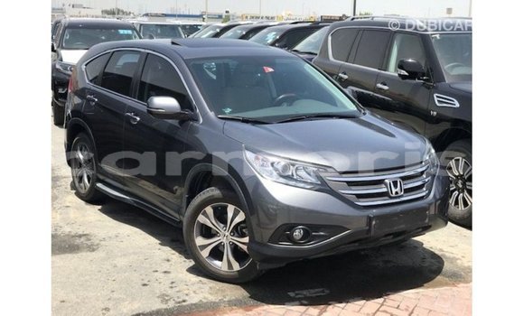 Acheter Import Moto Honda C Autre à Import - Dubai, Îles Agalega Acheter Import Moto Honda C Autre à Import - Dubai, Îles Agalega