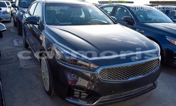 Buy Import Kia Cadenza Other Car in Import - Dubai in Agalega Islands Buy Import Kia Cadenza Other Car in Import - Dubai in Agalega Islands