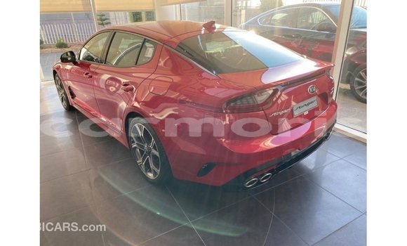 Buy Import Kia Stinger Red Car in Import - Dubai in Agalega Islands Buy Import Kia Stinger Red Car in Import - Dubai in Agalega Islands