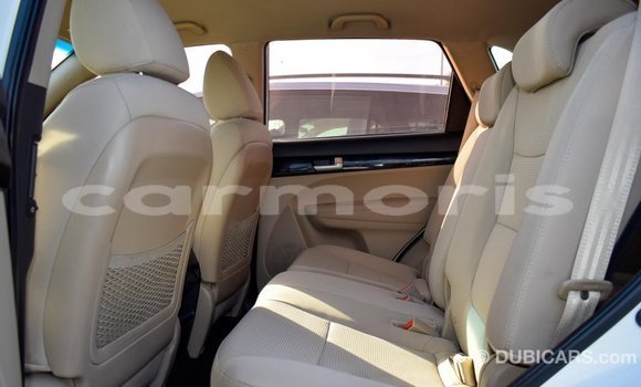 Buy Import Kia Sorento White Car in Import - Dubai in Agalega Islands Buy Import Kia Sorento White Car in Import - Dubai in Agalega Islands