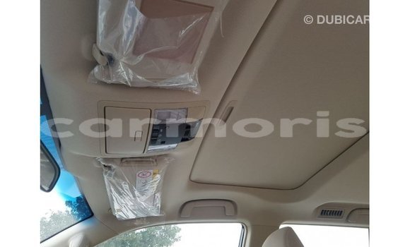 Buy Import Toyota Prado Black Car in Import - Dubai in Agalega Islands Buy Import Toyota Prado Black Car in Import - Dubai in Agalega Islands