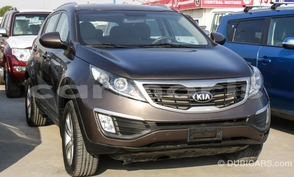 Buy Import Kia Sportage Brown Car in Import - Dubai in Agalega Islands Buy Import Kia Sportage Brown Car in Import - Dubai in Agalega Islands