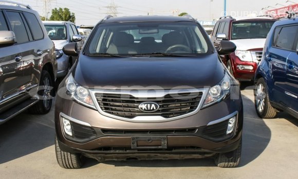 Buy Import Kia Sportage Brown Car in Import - Dubai in Agalega Islands Buy Import Kia Sportage Brown Car in Import - Dubai in Agalega Islands
