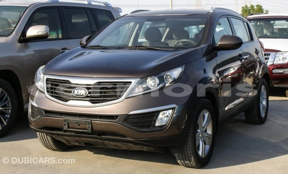 Buy Import Kia Sportage Brown Car in Import - Dubai in Agalega Islands Buy Import Kia Sportage Brown Car in Import - Dubai in Agalega Islands
