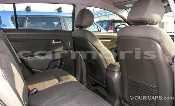 Buy Import Kia Sportage Brown Car in Import - Dubai in Agalega Islands Buy Import Kia Sportage Brown Car in Import - Dubai in Agalega Islands