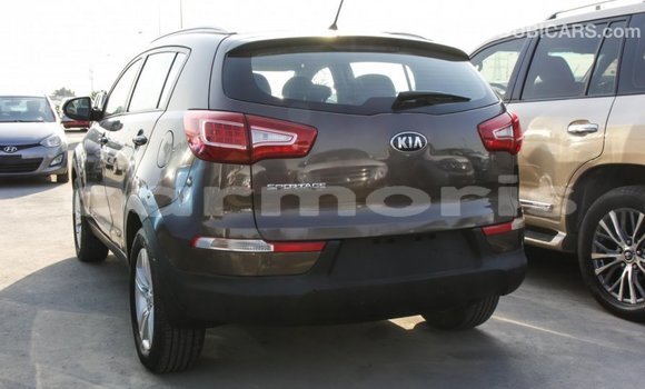 Buy Import Kia Sportage Brown Car in Import - Dubai in Agalega Islands Buy Import Kia Sportage Brown Car in Import - Dubai in Agalega Islands