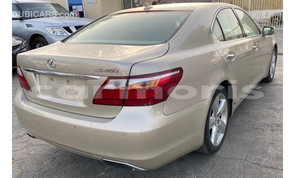 Buy Import Lexus LS Other Car in Import - Dubai in Agalega Islands Buy Import Lexus LS Other Car in Import - Dubai in Agalega Islands