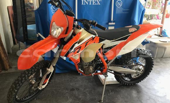 Buy Used KTM EXC Red Bike in Port Louis in Port Louis District Buy Used KTM EXC Red Bike in Port Louis in Port Louis District