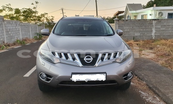 Acheter Occasion Voiture Nissan Murano Gris à Beau Bassin–Rose Hill, Plaines Wilhems District Acheter Occasion Voiture Nissan Murano Gris à Beau Bassin–Rose Hill, Plaines Wilhems District