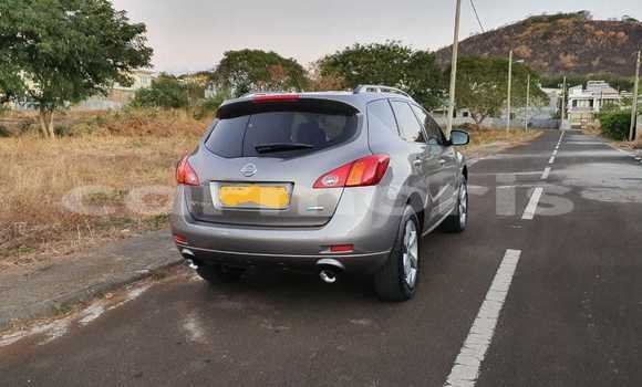 Acheter Occasion Voiture Nissan Murano Gris à Beau Bassin–Rose Hill, Plaines Wilhems District Acheter Occasion Voiture Nissan Murano Gris à Beau Bassin–Rose Hill, Plaines Wilhems District