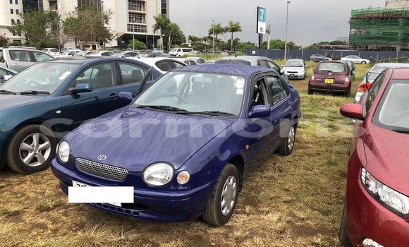 Buy Used Toyota Corolla Blue Car in Curepipe in Plaines Wilhems District Buy Used Toyota Corolla Blue Car in Curepipe in Plaines Wilhems District