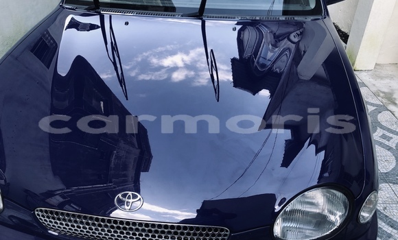 Buy Used Toyota Corolla Blue Car in Curepipe in Plaines Wilhems District Buy Used Toyota Corolla Blue Car in Curepipe in Plaines Wilhems District