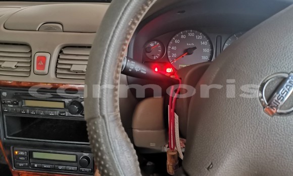 Acheter Occasion Voiture Nissan Bluebird Sylphy Autre à Vacoas–Phoenix, Plaines Wilhems District Acheter Occasion Voiture Nissan Bluebird Sylphy Autre à Vacoas–Phoenix, Plaines Wilhems District