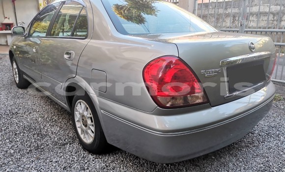 Acheter Occasion Voiture Nissan Bluebird Sylphy Gris à Vacoas–Phoenix, Plaines Wilhems District Acheter Occasion Voiture Nissan Bluebird Sylphy Gris à Vacoas–Phoenix, Plaines Wilhems District