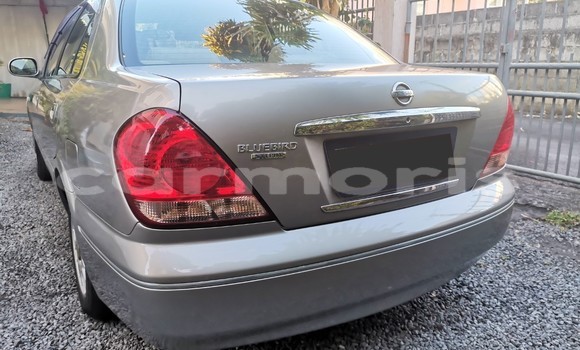 Acheter Occasion Voiture Nissan Bluebird Sylphy Gris à Vacoas–Phoenix, Plaines Wilhems District Acheter Occasion Voiture Nissan Bluebird Sylphy Gris à Vacoas–Phoenix, Plaines Wilhems District