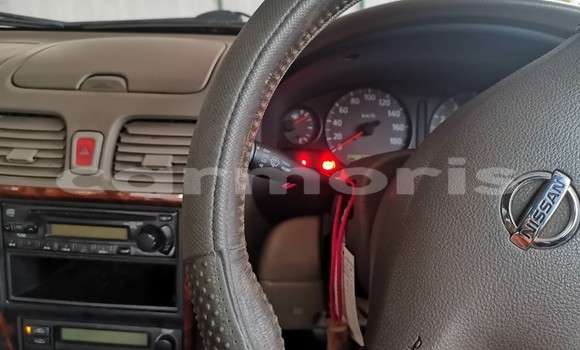 Acheter Occasion Voiture Nissan Bluebird Sylphy Gris à Vacoas–Phoenix, Plaines Wilhems District Acheter Occasion Voiture Nissan Bluebird Sylphy Gris à Vacoas–Phoenix, Plaines Wilhems District