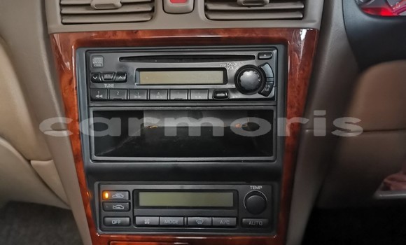 Acheter Occasion Voiture Nissan Bluebird Sylphy Gris à Vacoas–Phoenix, Plaines Wilhems District Acheter Occasion Voiture Nissan Bluebird Sylphy Gris à Vacoas–Phoenix, Plaines Wilhems District