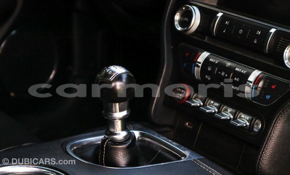 Acheter Import Voiture Ford Mustang Vert à Import - Dubai, Îles Agalega Acheter Import Voiture Ford Mustang Vert à Import - Dubai, Îles Agalega