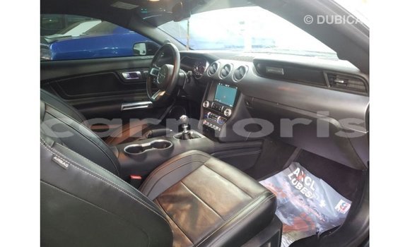 Buy Import Ford Mustang Black Car in Import - Dubai in Agalega Islands Buy Import Ford Mustang Black Car in Import - Dubai in Agalega Islands