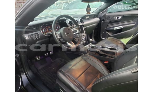 Buy Import Ford Mustang Black Car in Import - Dubai in Agalega Islands Buy Import Ford Mustang Black Car in Import - Dubai in Agalega Islands