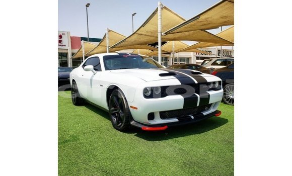 Buy Import Dodge Challenger White Car in Import - Dubai in Agalega Islands