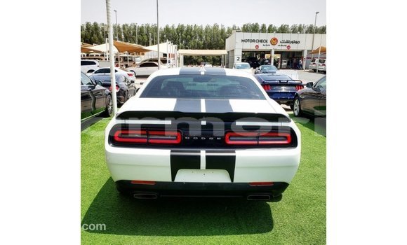 Buy Import Dodge Challenger White Car in Import - Dubai in Agalega Islands Buy Import Dodge Challenger White Car in Import - Dubai in Agalega Islands