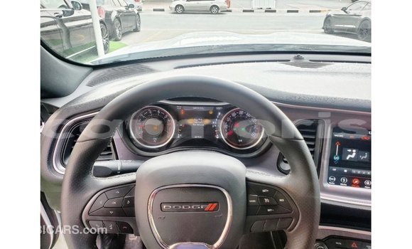 Buy Import Dodge Challenger White Car in Import - Dubai in Agalega Islands Buy Import Dodge Challenger White Car in Import - Dubai in Agalega Islands