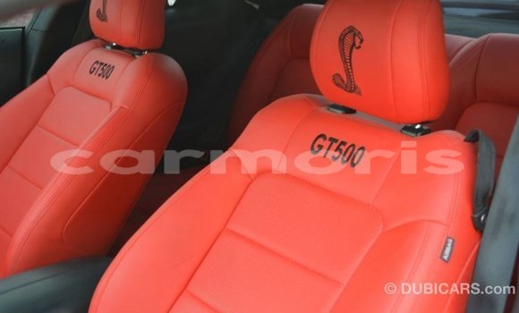 Buy Import Ford Mustang White Car in Import - Dubai in Agalega Islands Buy Import Ford Mustang White Car in Import - Dubai in Agalega Islands